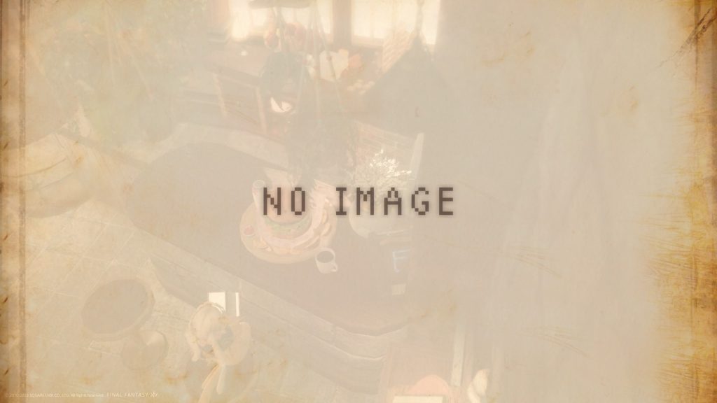 NO IMAGE